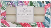 wax-bar Tropical Orchid 2,5  x 14,5 cm wit 6 stuks