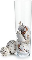 vaas 15 x 40 cm glas transparant