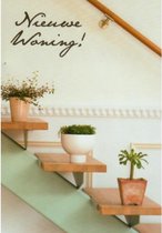 Een nieuwe woning! Van harte gefeliciteerd! Een grappige wenskaart met traptreden die aan de muur zijn gemaakt als decoratie. Hier staan mooie planten op. Een dubbele wenskaart inc