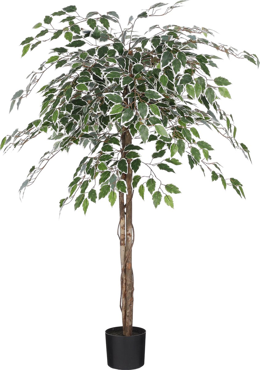 Mica Decorations Ficus Kunstplant in Bloempot - H150 x Ø50 cm - Groen bont Groen, bont