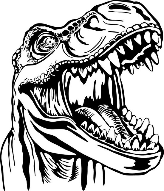Muur - Raam sticker Tyrannosaurus Rex Jongens kamer - decoratie -