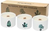 Set Medium Botanische Geurkaarsen - Soy Wax - Citroen Kamperfoelie - Keramiek Potten