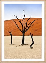 Poster Met Eiken Lijst - Deadvlei Bomen Poster