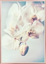 Poster Met Metaal Rose Lijst - Orchideeën Bloemen Poster