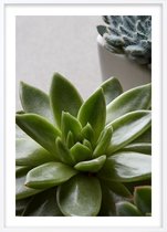 Poster Met Witte Lijst - Groene Cactus Poster