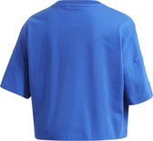 adidas Originals Big Trf Tee T-shirt Vrouwen blauw DE40/FR42
