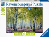 Ravensburger Birch Forest Jeu de puzzle 1000 pièce(s) Paysage