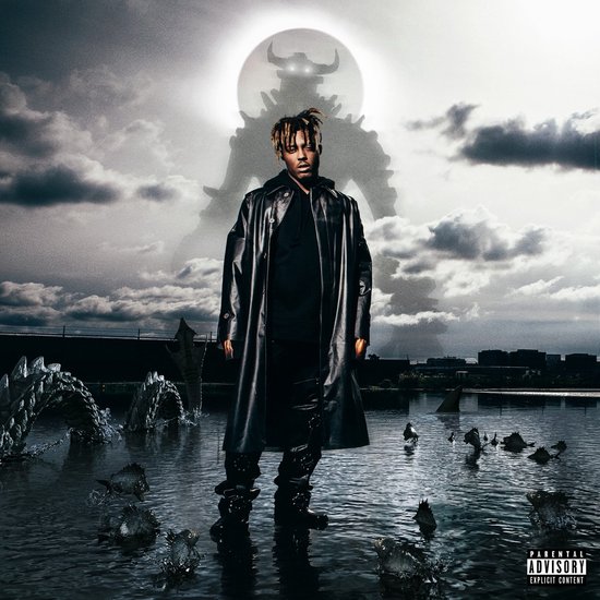 Foto: Juice wrld fighting demons cd 