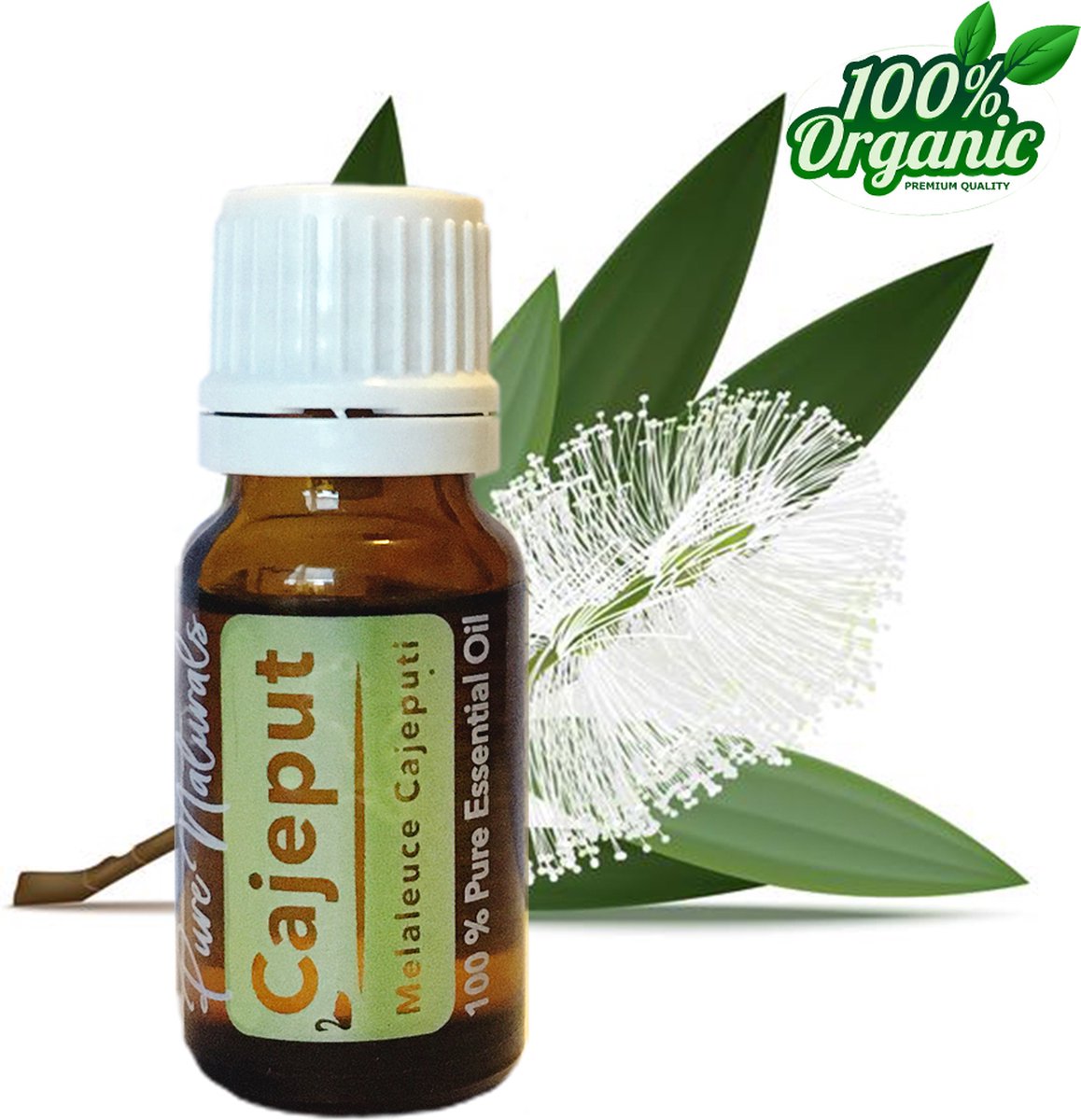 Goedkoopste Healing - Cajeput 10 ml - etherische olie