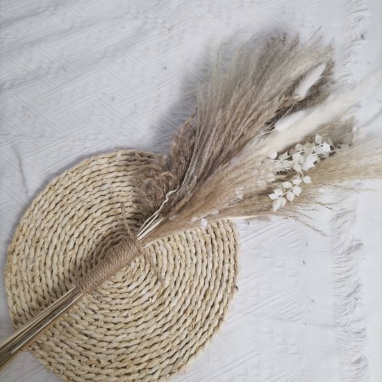 pampasgras roze gedroogd - gekleurde pampas pluimen