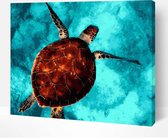 Schilderen Op Nummer Volwassenen DIY Paint By Number Compleet Hobby Pakket op Frame met Vernis - ®Arty Bee - Sea Turtle 50x40cm