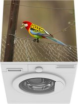 Wasmachine beschermer mat - Kleurrijke parkiet op een hek - Breedte 60 cm x hoogte 60 cm