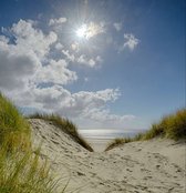 Fotobehang duinen en strand Ameland 250 x 260 cm