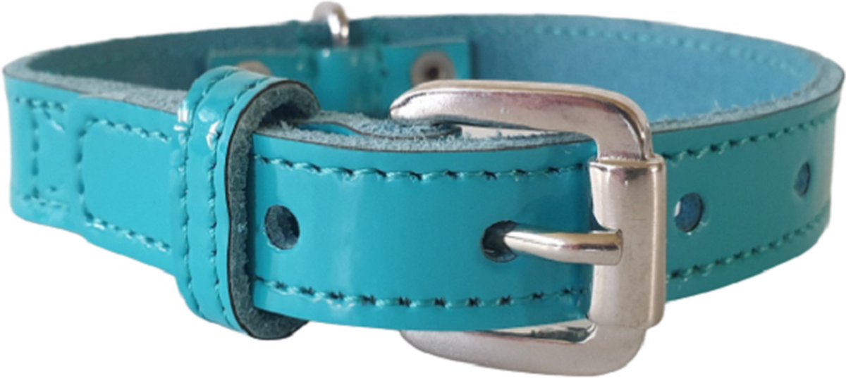 ALOKÉ Hondenhalsband / Halsband (01588LA) - Lak Leder - Turquoise - S - Nekomvang: 24,5 - 30 cm (GELIEVE ALVORENS BESTELLEN OPMETEN)