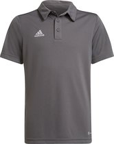 adidas - Entrada 22 Polo Youth - Grijze Polo Kids-116