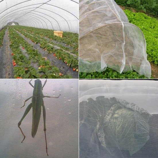 Filet anti-insectes potager 1 x 10 M - Jardin - insectes - printemps - été  - légumes 