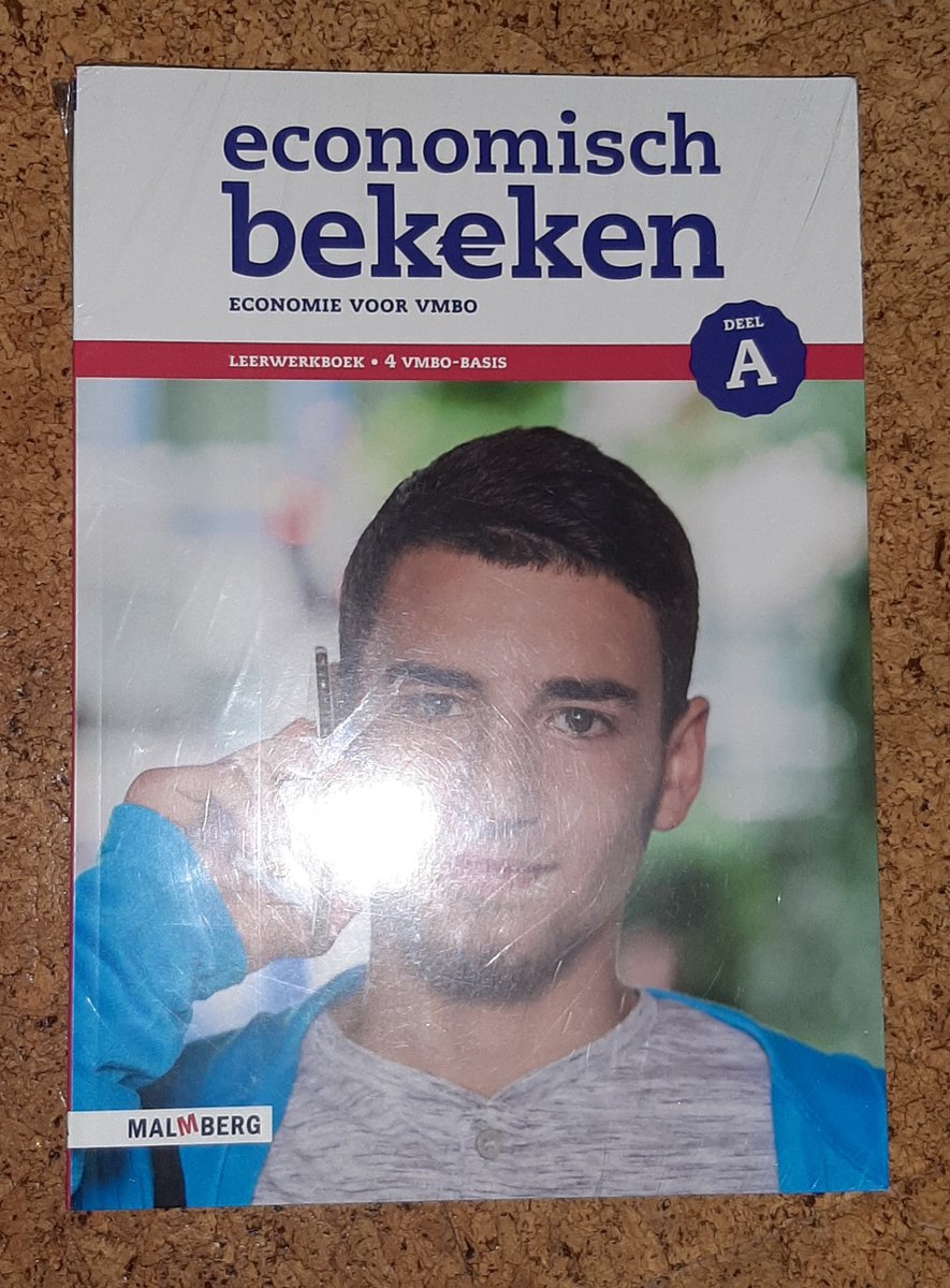 Economisch bekeken economie voor VMBO leerwerkboek