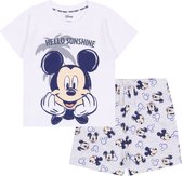Grijs en wit, zomerset voor baby's - Mickey Mouse DISNEY / 86