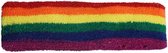 Akyol - Pride Hoofdband - LGBT - Hoofdband pride - De pride liefhebbers - pride - lgbt - pride vlag -