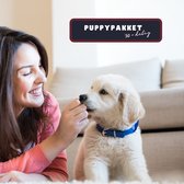 Puppy Pakket 30-delig | Honden Startpakket | Hond | Hondenmand vol artikelen | Puppy Speelgoed | Hondentraining | Hondenverzorging | Verrassingspakket hond | Hondenborstel