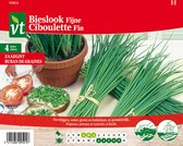 VT Bieslook zaadlint 4m