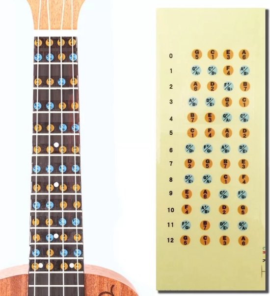Lintage Guitars - Ukulele fretboard stickers – Ukulele Chords - Ukulele akkoorden sticker - Gekleurde fret stickers voor het leren spelen van Ukulele