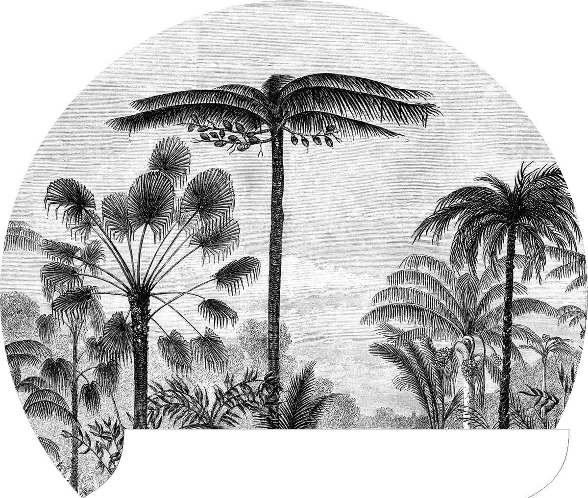 ESTAhome papier peint autocollant cercle paysage tropical avec palmiers  noir et blanc... | bol.com