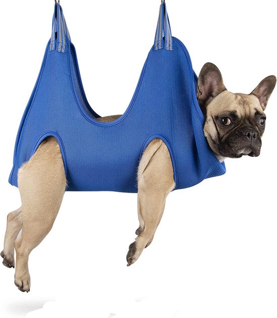 Chats, sac suspendu pour chien pour couper facilement les ongles, bleu taille Medium, sac à linge, coupe-ongles, soins pour animaux de compagnie