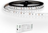 Bande LED compatible Zigbee Hue - 5 mètres blanc froid IP20