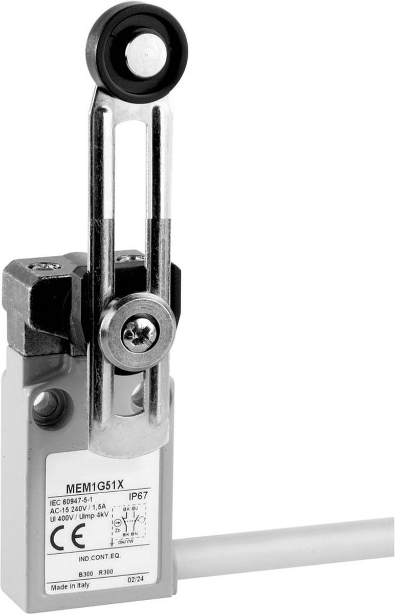 Panasonic MEM1G51ZD MEM1G51ZD Eindschakelaar 24 V 5 A Rolhendel met schroefdraad IP67 1 stuk(s)