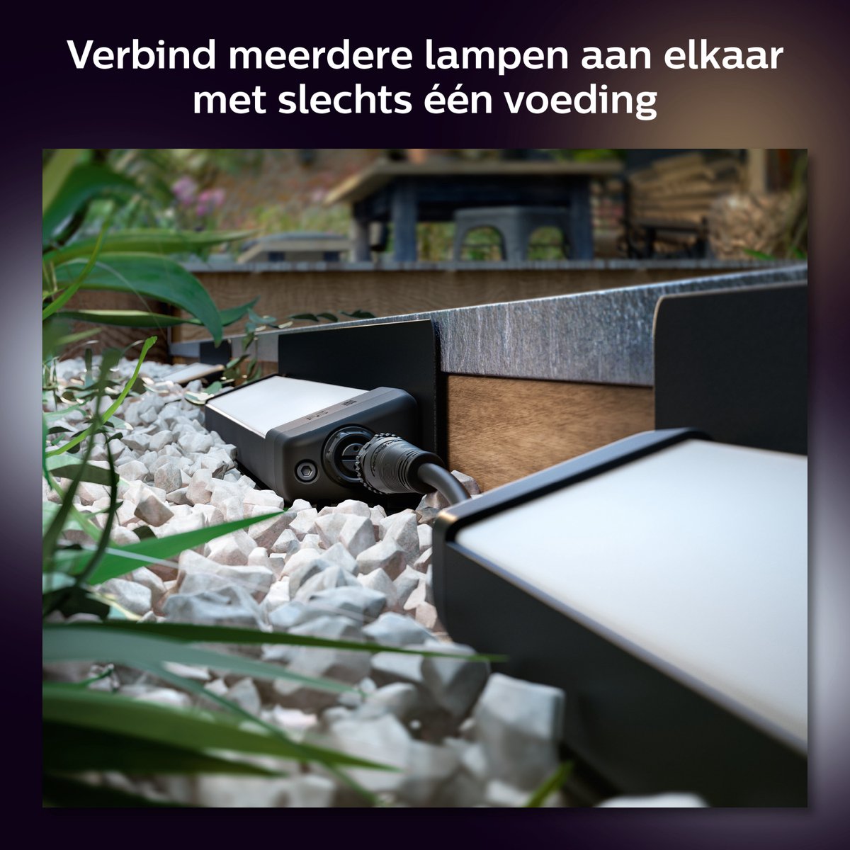 Philips Hue Amarant verstraler - wit en gekleurd licht - zwart - LowVolt — afbeelding 5