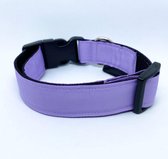 Halsband + riem hond - Pride set - XL (50-70 cm) Green