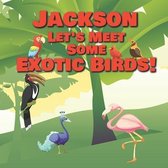 Jackson Let's Meet Some Exotic Birds!