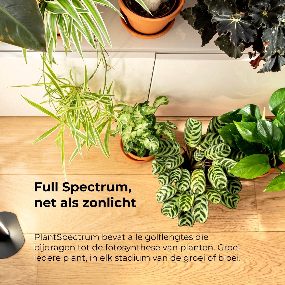 Groeilamp LED voor Planten | Professionele Full Spectrum Kweeklamp Lengte  79.5cm|Voor... | bol.com