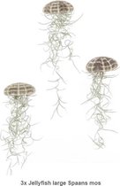 3x  Jellyfish large