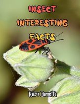 Insect Interesting Facts