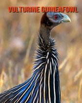 Vulturine Guineafowl