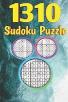 1310 Sudoku puzzle