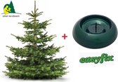 Echte Kerstboom Nordmann gezaagd 150 - 175 cm - Met Easyfix Standaard Groen Metaal.