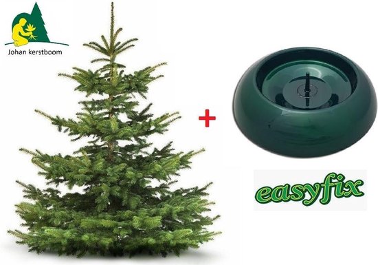 Echte Kerstboom Nordmann gezaagd 150 - 175 cm - Met Easyfix Standaard Groen  Metaal. | bol.com