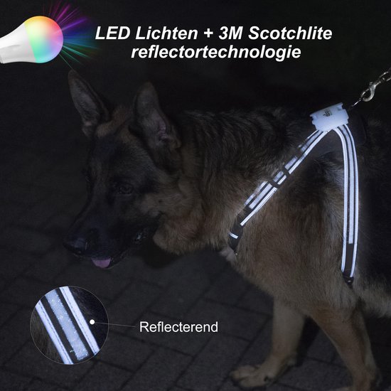 Joytale Hondentuigje, oplichtend, oplaadbaar voor middelgrote honden