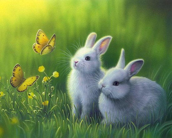 Stationair amateur plank Schilderen op nummer volwassenen, schilderen op nummer kinderen, konijnen  met vlinders... | bol.com