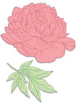 Peony & Leafy Branch Stamp and Die Set (4pc)