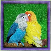 3D Diamond Painting Papegaaien op gespannen frame 30 x 30 cm