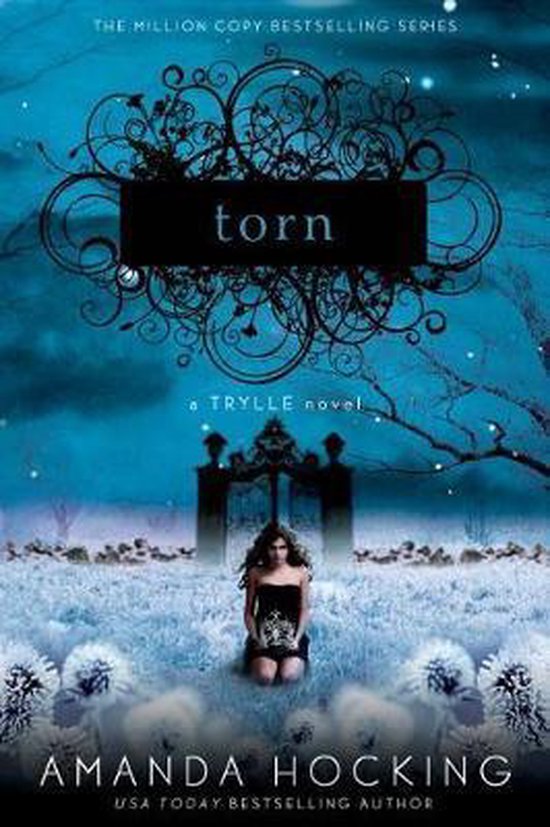 Torn - cover