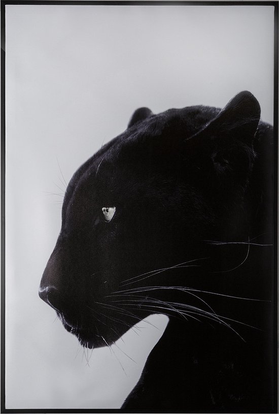 Atmosphera Poster + kader zwarte panter - Canvas en fotolijst - Black panther - Decoratie - Wanddecoratie - 60 x 90 cm