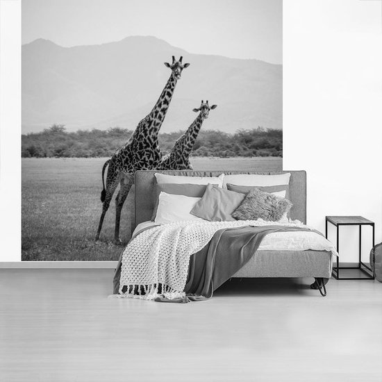 Bol Com Fotobehang Vinyl Twee Giraffes Staan In Veld In Zwart Wit Breedte 300 Cm X Hoogte