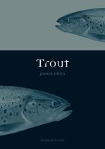 Animal - Trout