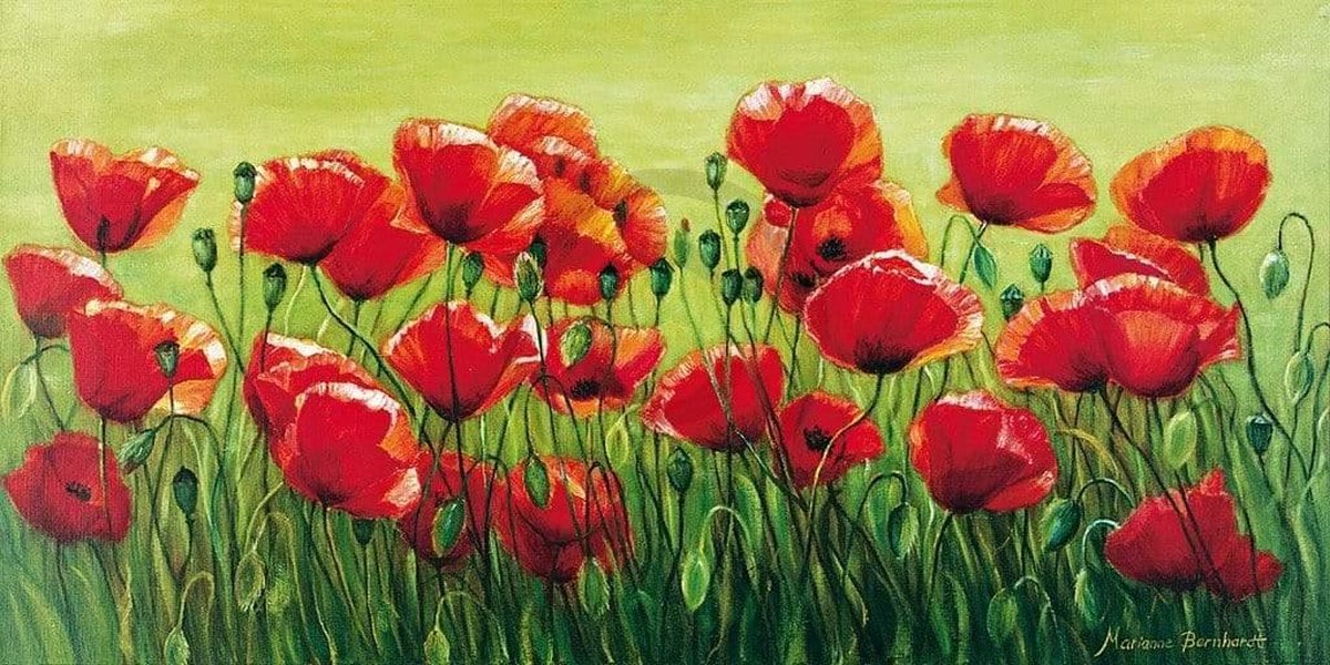 PGM Kunstdruk Marianne Bernhardt - Klatschmohnwiese 100x50cm Divers