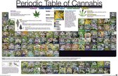 GBeye Periodic Table of Cannabis  Poster - 91,5x61cm